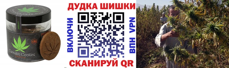 Купить где  Новоаннинский  Canna-Cookies конопля 