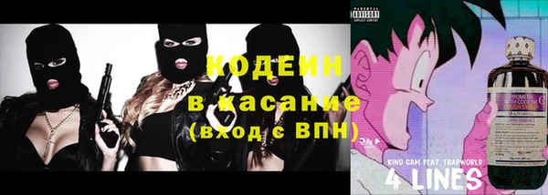 амф Елизово