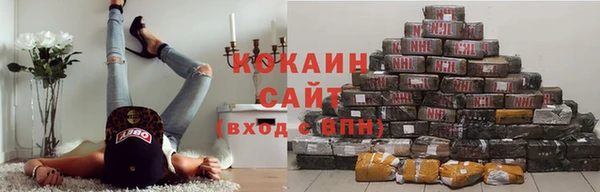 амф Елизово