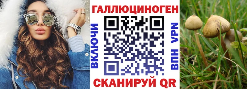 Купить  Новоаннинский  Галлюциногенные грибы Magic Shrooms 