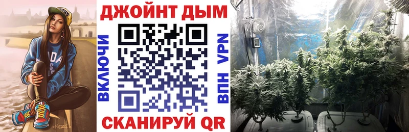 Купить где  Новоаннинский  Канабис семена 